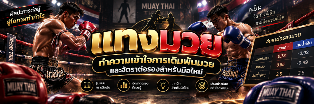 แทงมวย ทำความเข้าใจการเดิมพันมวยและอัตราต่อรองสำหรับมือใหม่